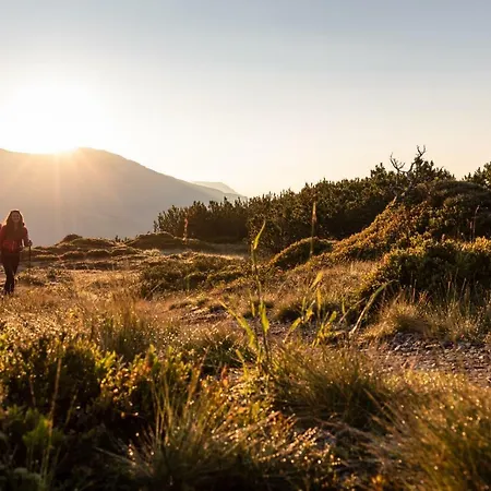 Hotel Victoria - Adults Only Gerlos